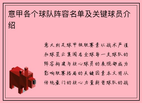 意甲各个球队阵容名单及关键球员介绍